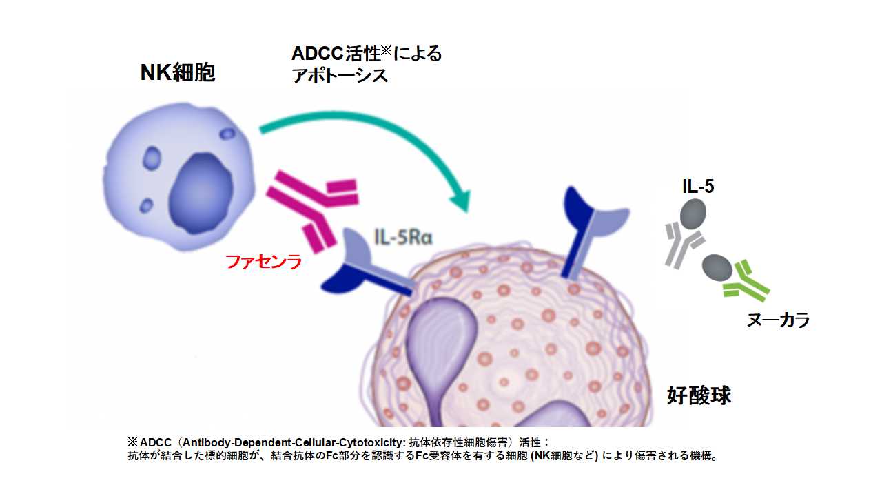 ファセンラに関するよくある質問